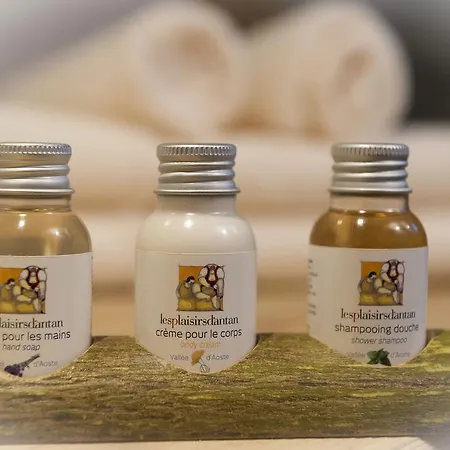 Les Plaisirs D'antan Konukevi Jovencan