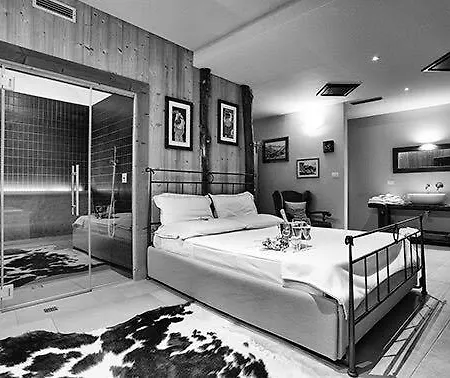 招待所 莱斯普莱西尔德思丹坦旅馆 4*