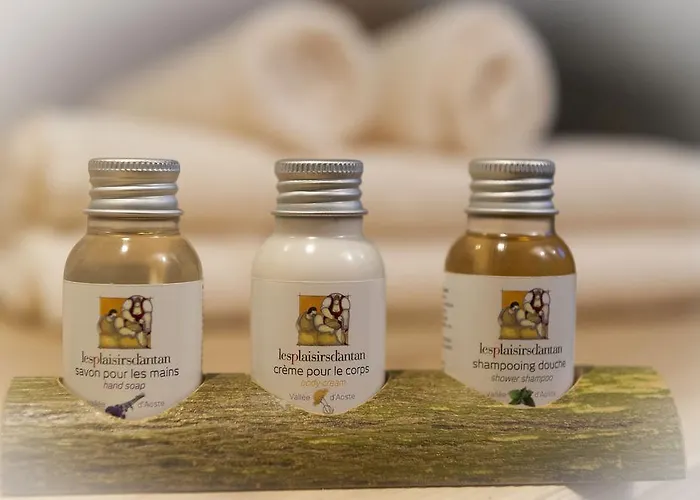 莱斯普莱西尔德思丹坦旅馆 招待所 Jovencan